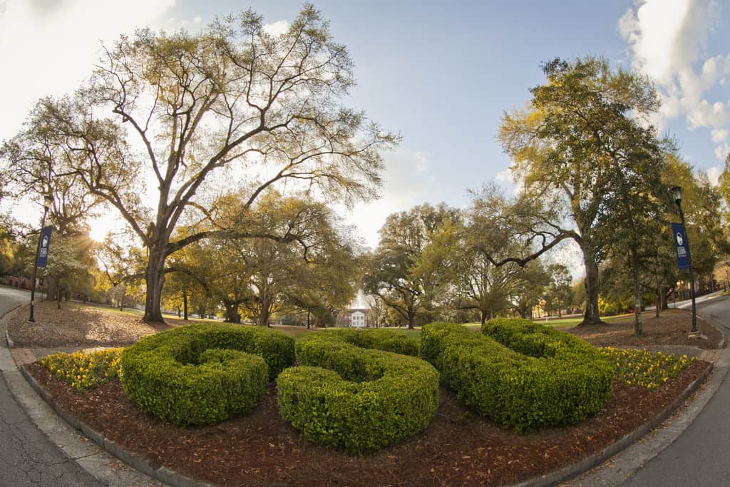 15065201115_5cd64f7d18_b