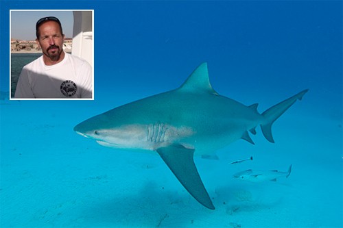 Dr. Erich Ritter – Shark Expert