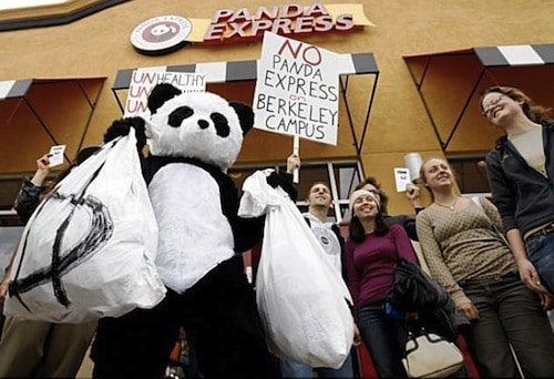 10. Panda Dress-Up Protest GÇô University of California Berkeley, USA