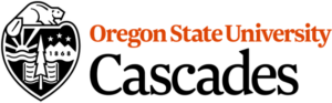 top mfa creative writing programs 2021